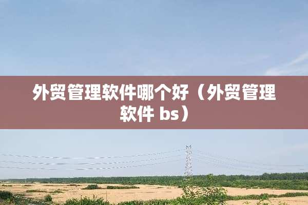 外贸管理软件哪个好（外贸管理软件 bs）