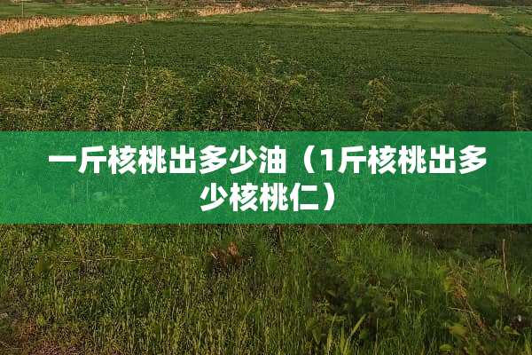 一斤核桃出多少油（1斤核桃出多少核桃仁）