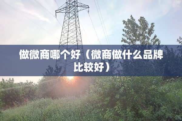 做微商哪个好（微商做什么品牌比较好）