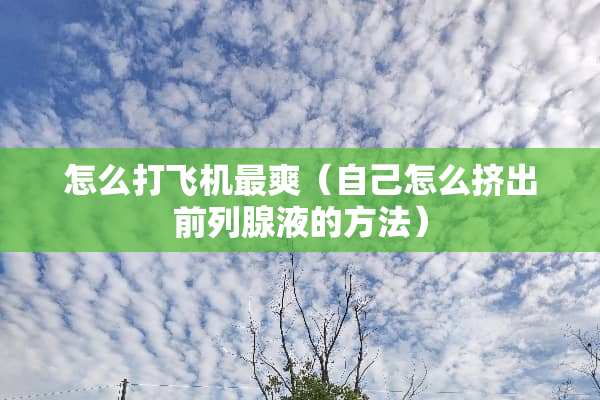 怎么***最爽（自己怎么挤出前列腺液的方法）