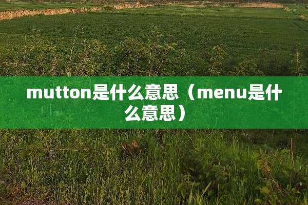 mutton是什么意思（menu是什么意思）