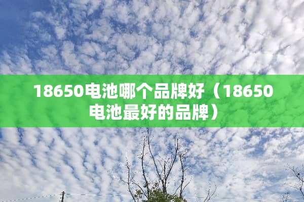 18650电池哪个品牌好（18650电池最好的品牌）