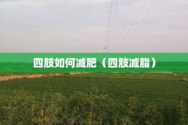四肢如何减肥（四肢减脂）
