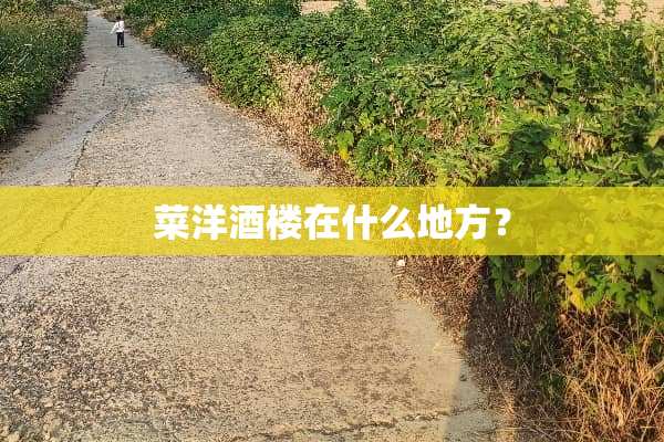 菜洋酒楼在什么地方？