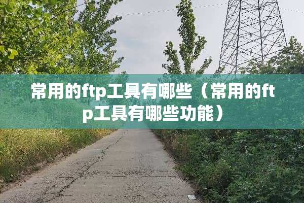 常用的ftp工具有哪些（常用的ftp工具有哪些功能）