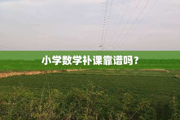 小学数学补课靠谱吗？