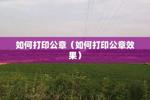 如何打印公章（如何打印公章效果）