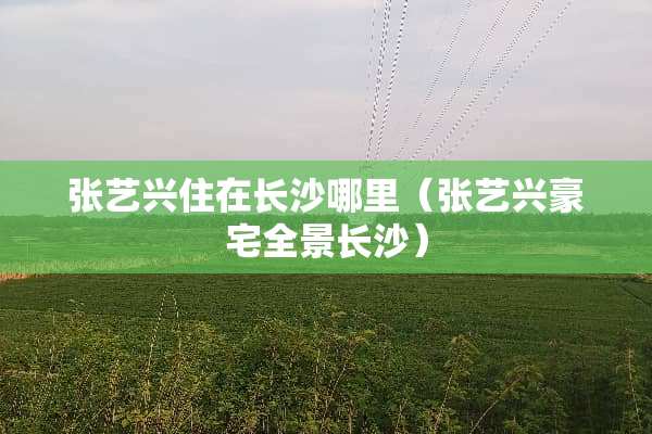 张艺兴住在长沙哪里（张艺兴豪宅全景长沙）