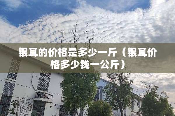 银耳的价格是多少一斤（银耳价格多少钱一公斤）
