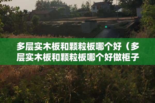 多层实木板和颗粒板哪个好（多层实木板和颗粒板哪个好做柜子）