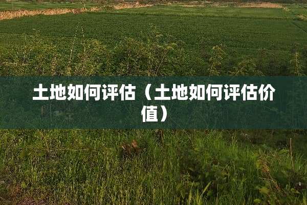 土地如何评估（土地如何评估价值）
