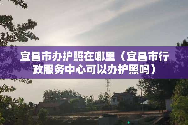 宜昌市办护照在哪里（宜昌市行政服务中心可以办护照吗）