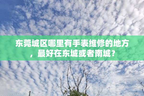 东莞城区哪里有手表维修的地方，最好在东城或者南城？