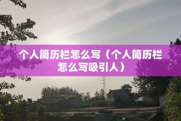 个人简历栏怎么写（个人简历栏怎么写吸引人）
