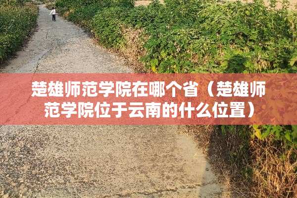 楚雄师范学院在哪个省（楚雄师范学院位于云南的什么位置）
