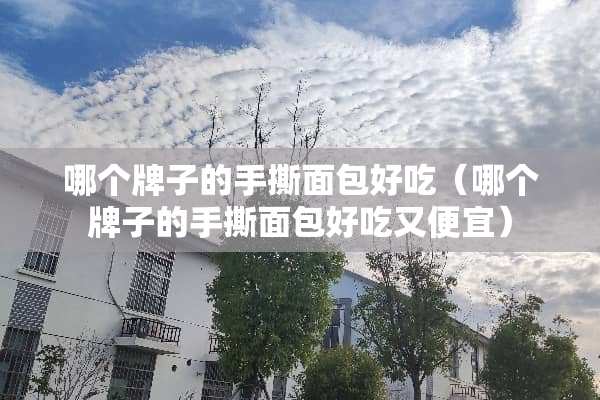 哪个牌子的手撕面包好吃（哪个牌子的手撕面包好吃又便宜）