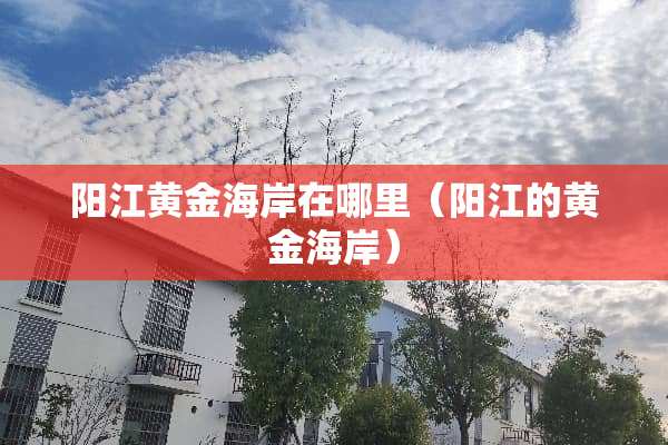 **黄金海岸在哪里（**的黄金海岸）