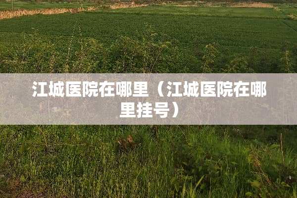 江城医院在哪里（江城医院在哪里挂号）
