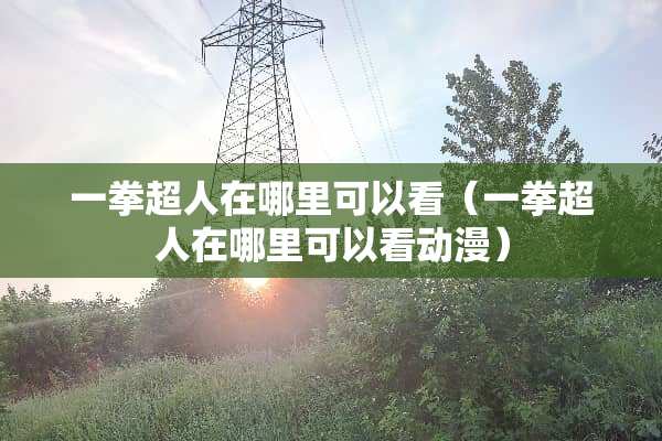 一拳超人在哪里可以看（一拳超人在哪里可以看动漫）