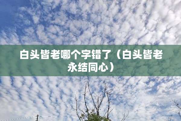 白头皆老哪个字错了（白头皆老永结同心）