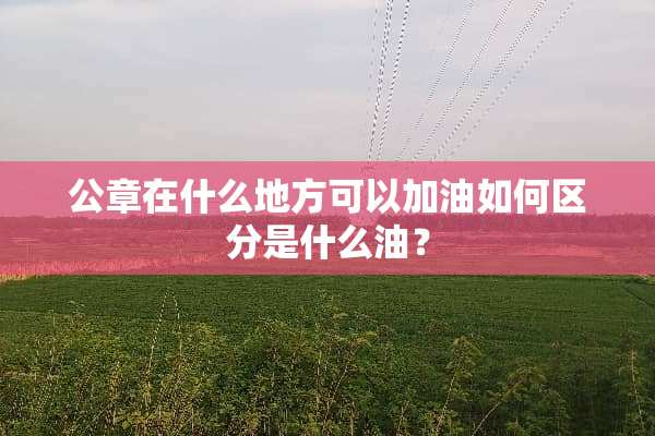 公章在什么地方可以加油如何区分是什么油？