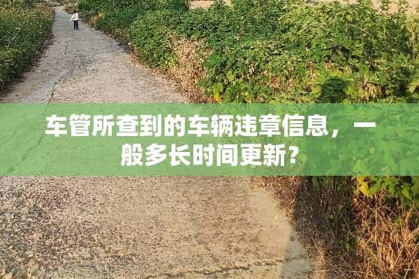 车管所查到的车辆违章信息，一般多长时间更新？