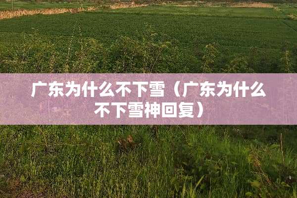 广东为什么不下雪（广东为什么不下雪神回复）