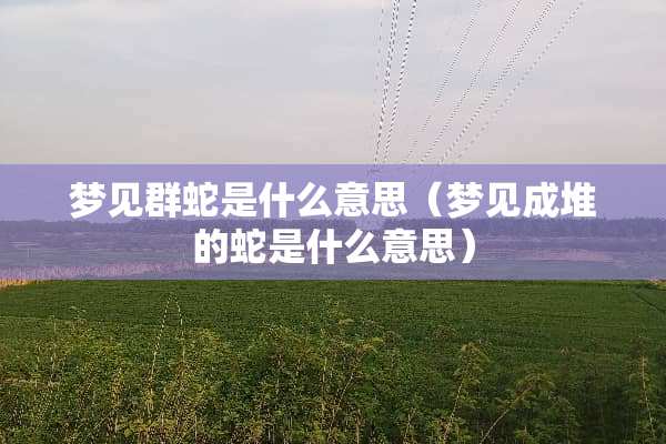 梦见群蛇是什么意思（梦见成堆的蛇是什么意思）