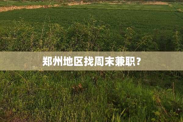 郑州地区找周末兼职？