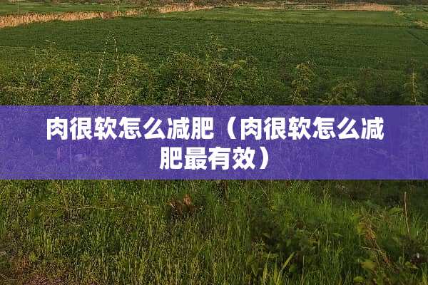 肉很软怎么减肥（肉很软怎么减肥最有效）