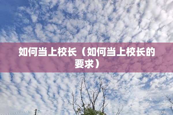 如何当上校长（如何当上校长的要求）