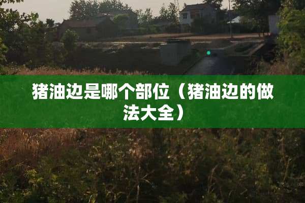 猪油边是哪个部位（猪油边的做法大全）