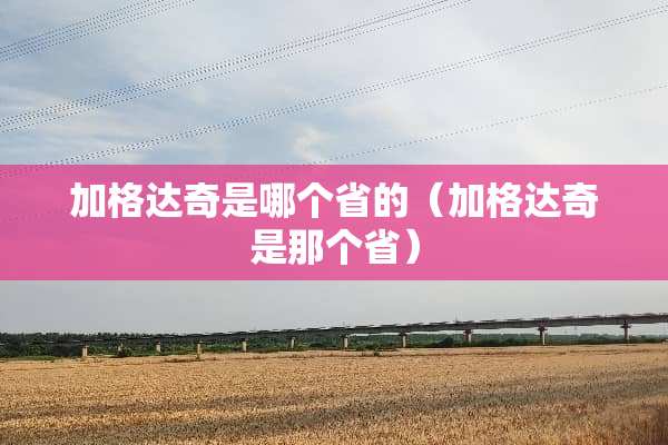 加格达奇是哪个省的（加格达奇是那个省）