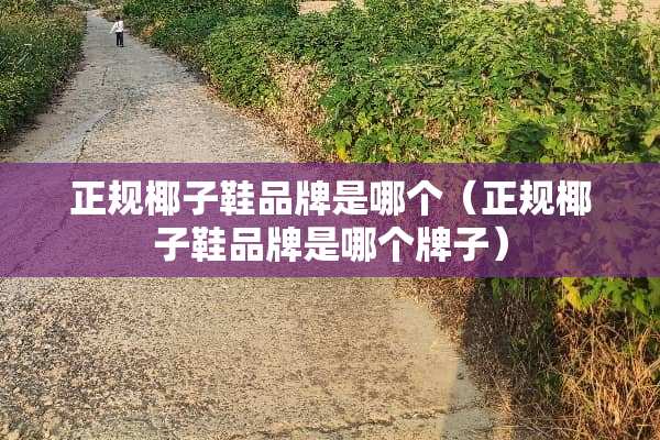 正规椰子鞋品牌是哪个（正规椰子鞋品牌是哪个牌子）