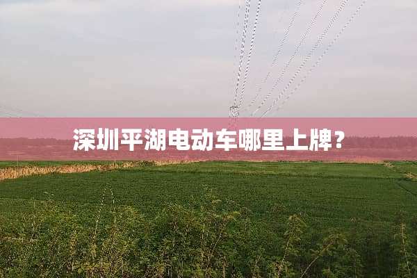 深圳平湖电动车哪里上牌？