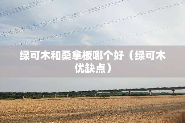 绿可木和**板哪个好（绿可木优缺点）