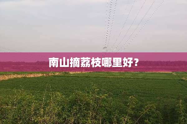 南山摘荔枝哪里好？