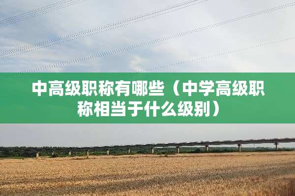 中高级职称有哪些（中学高级职称相当于什么级别）