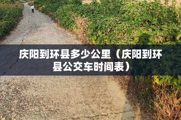 庆阳到环县多少公里（庆阳到环县公交车时间表）
