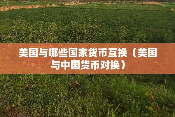 美国与哪些国家货币互换（美国与中国货币对换）