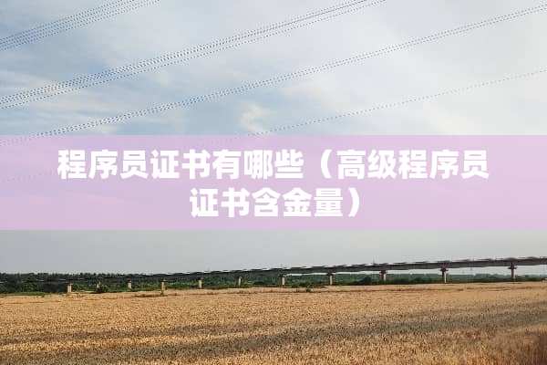 程序员证书有哪些（高级程序员证书含金量）