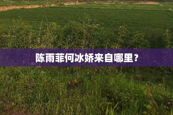 陈雨菲何冰娇来自哪里？
