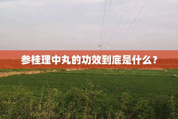 参桂理中丸的功效到底是什么？