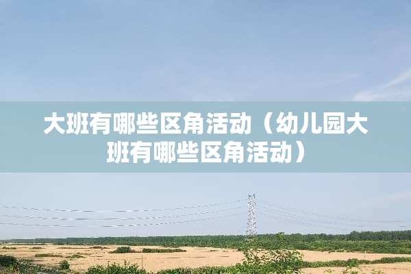 大班有哪些区角活动（幼儿园大班有哪些区角活动）
