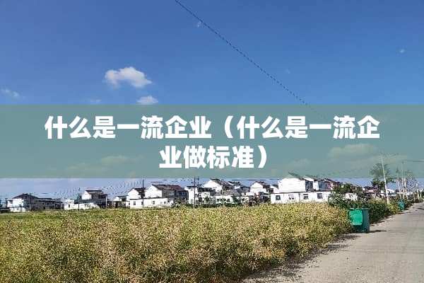 什么是一流企业（什么是一流企业做标准）