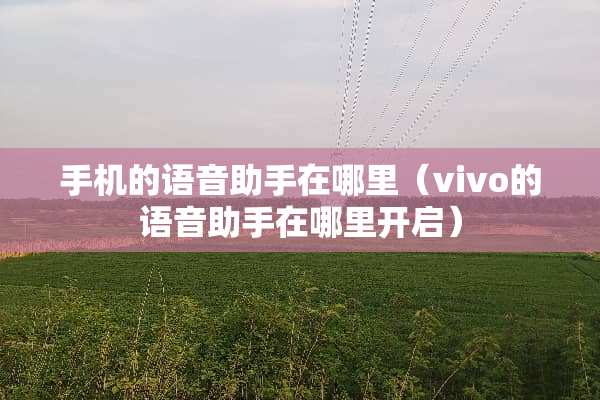 手机的语音助手在哪里（vivo的语音助手在哪里开启）