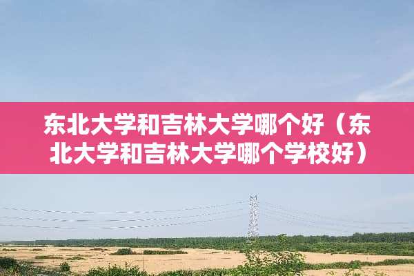 东北大学和吉林大学哪个好（东北大学和吉林大学哪个学校好）