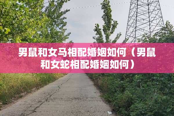 男鼠和女马相配婚姻如何（男鼠和女蛇相配婚姻如何）