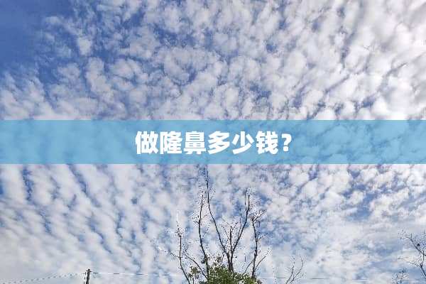 做隆鼻多少钱？