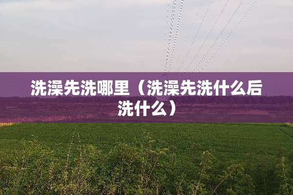 洗澡先洗哪里（洗澡先洗什么后洗什么）